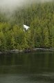 Inside Passage 'Prince Rupert - Port Hardy' 24_09_2011 (552)